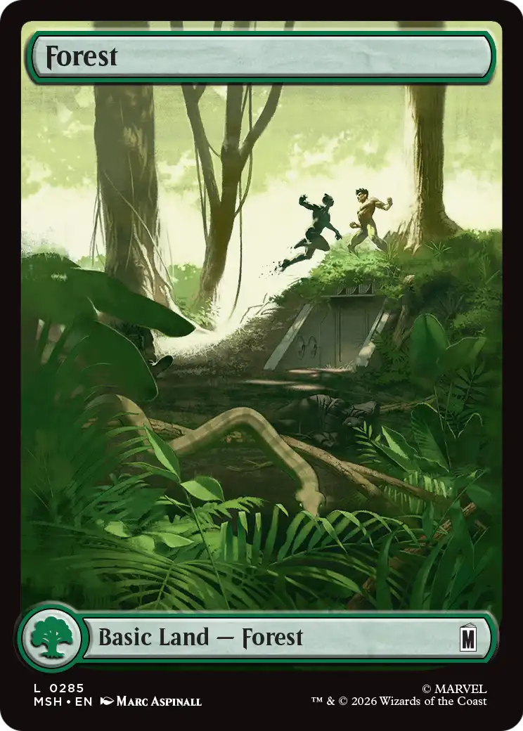 Forest